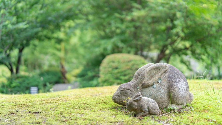 【食事なし/素泊まり】シンプルステイ 湯守りが管理する源泉掛流しの温泉で湯浴みを愉しむ