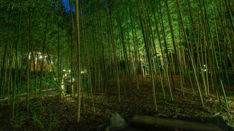 竹林庭園「光だまり」