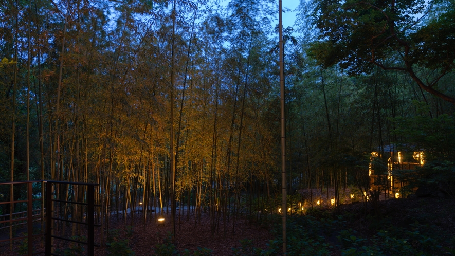 竹林庭園「光だまり」