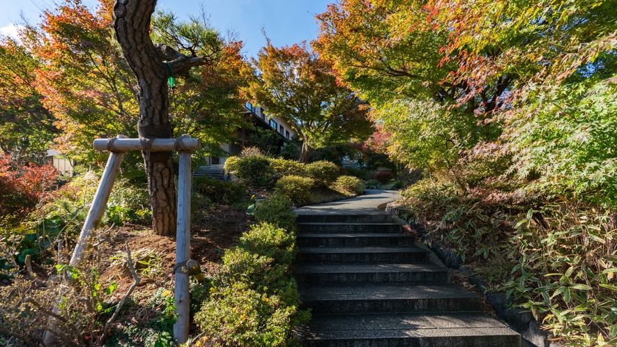 和風庭園「葉ごろも」