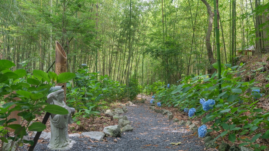 竹林庭園「光だまり」