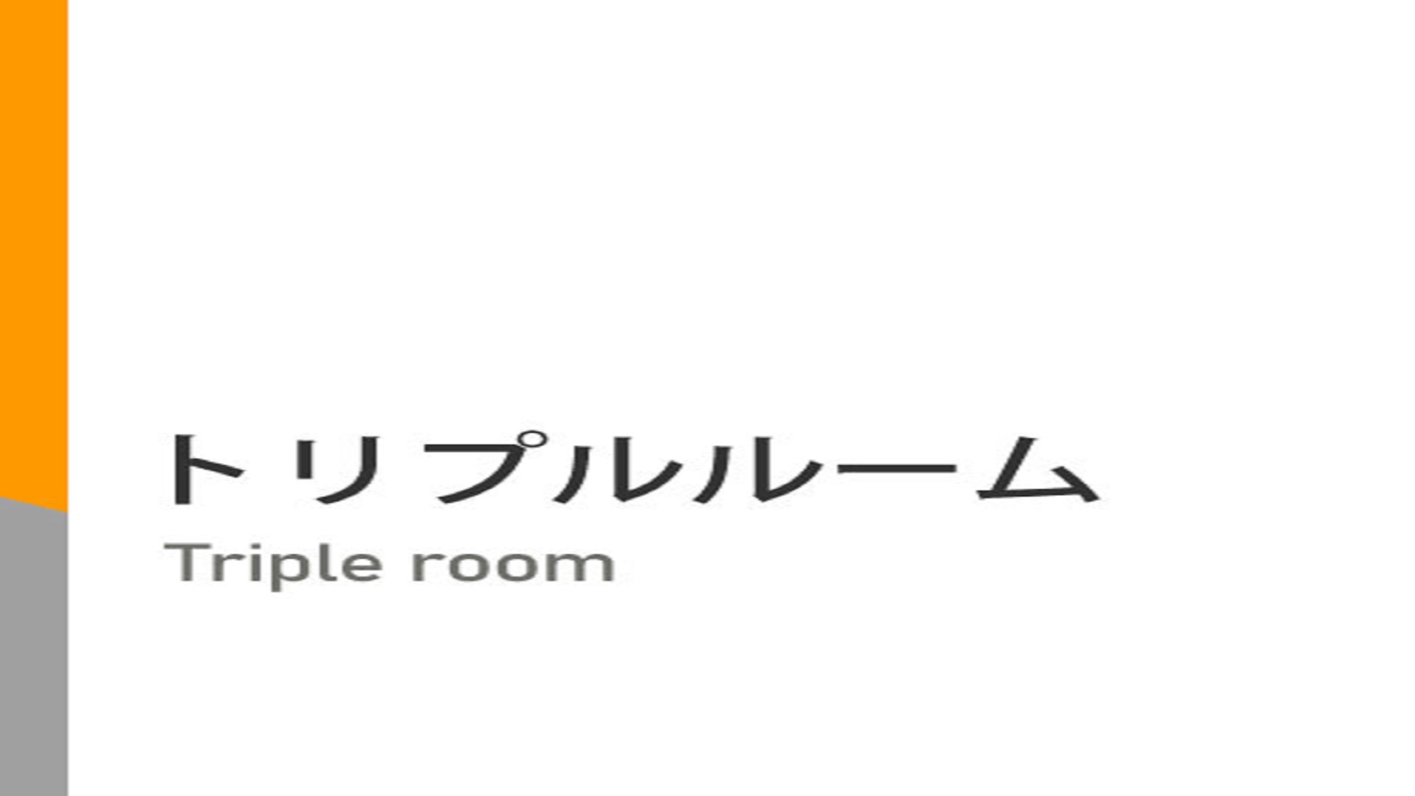 【禁煙】トリプルルーム【上下型ツイン+ソファベッド1台】