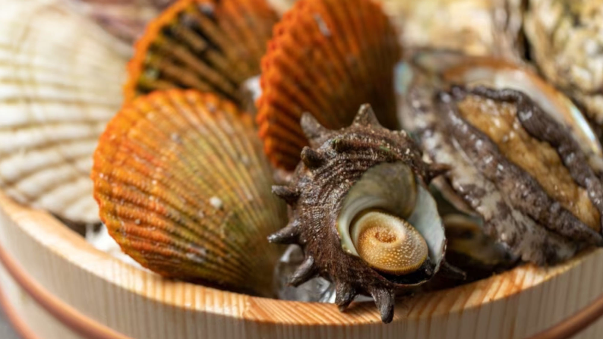 ■連休限定■【貝づくし】伊勢志摩の海の宝・貝を贅沢に愉しむ＜1泊2食付き＞