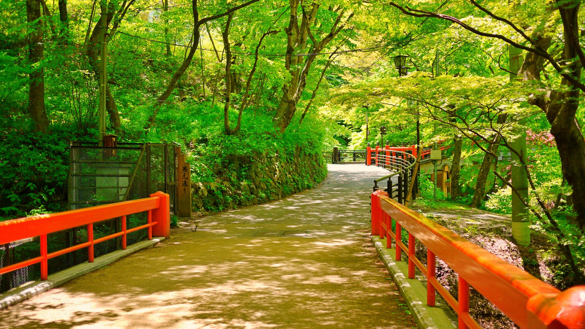 美しい緑に朱赤の橋が写真映え。新緑の「河鹿橋」