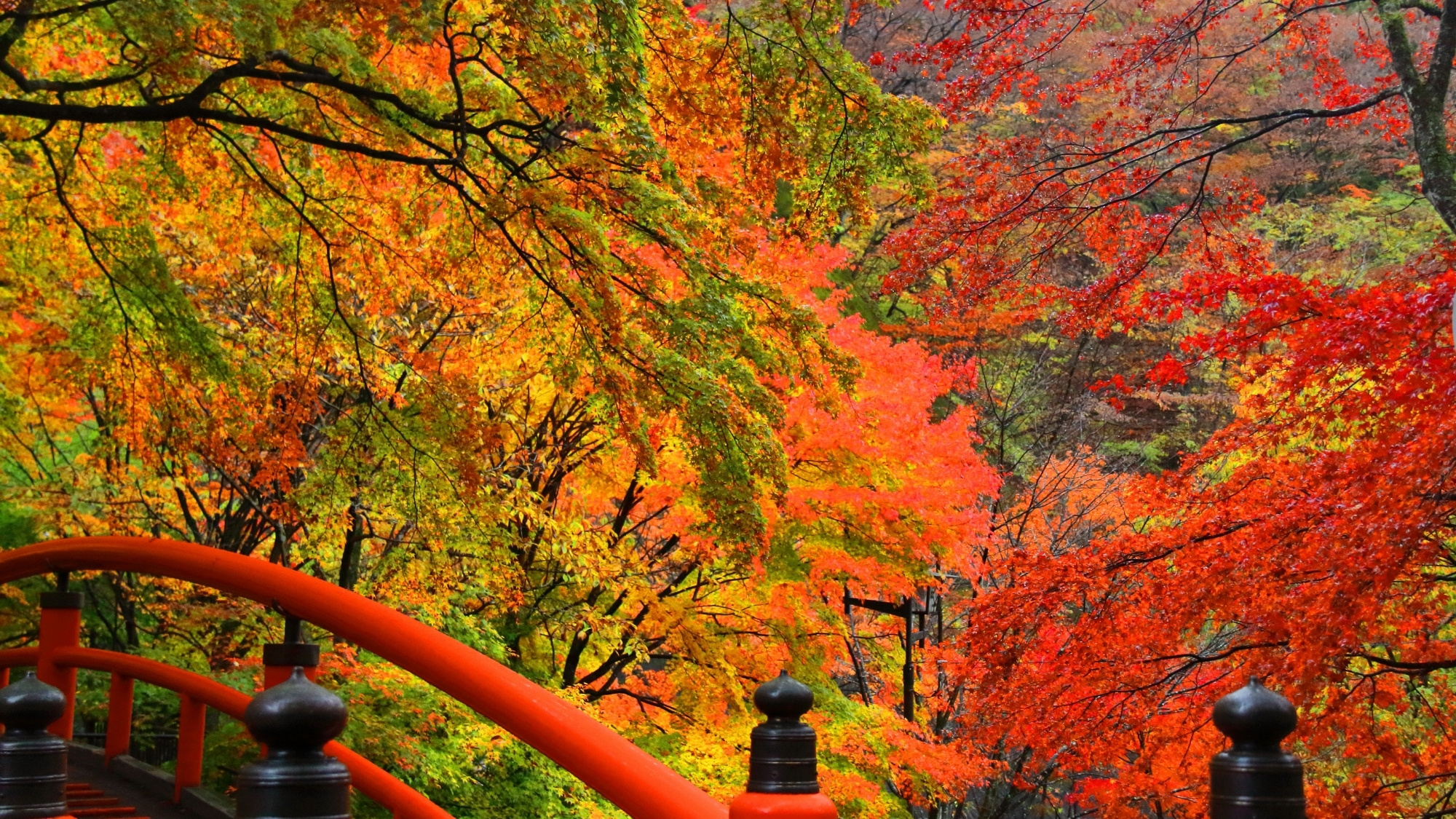 紅葉の名所として有名な伊香保温泉の湯元付近にある「河鹿橋」。