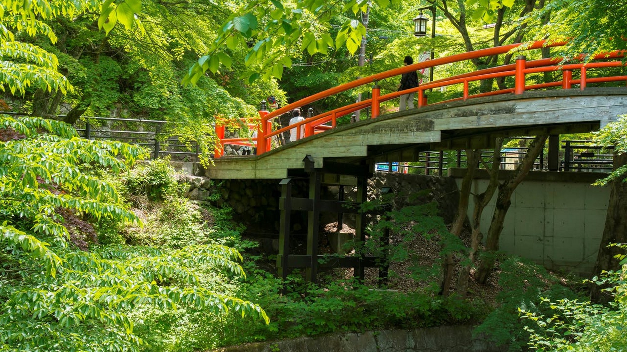 美しい緑に朱赤の橋が写真映え。新緑の「河鹿橋」