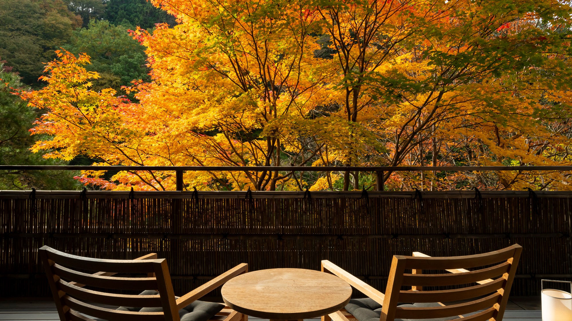 【ジャパニーズスイート】紅葉を眺めながら贅沢なひとときを。