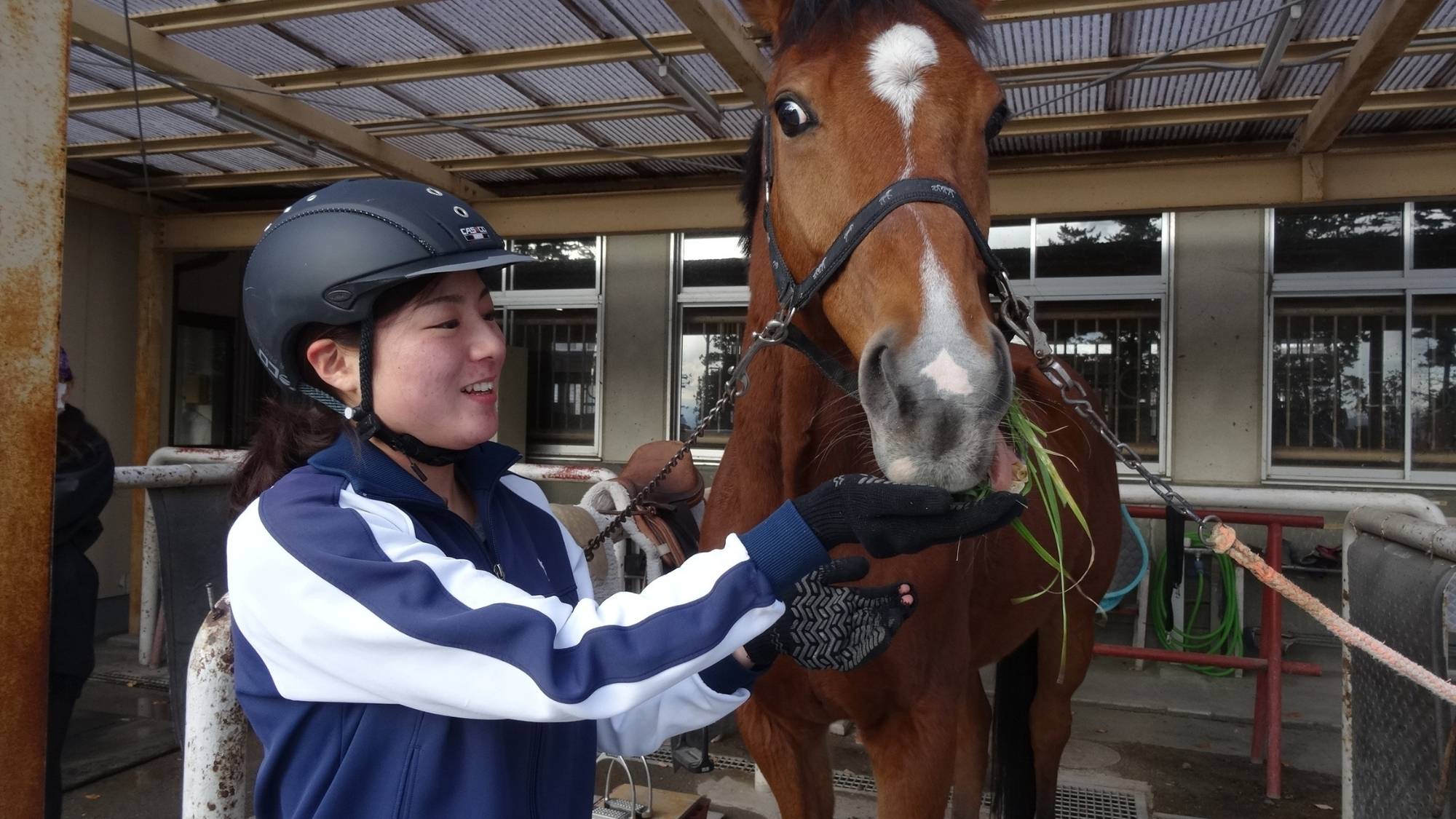 馬事公苑では乗馬体験をすることができます。