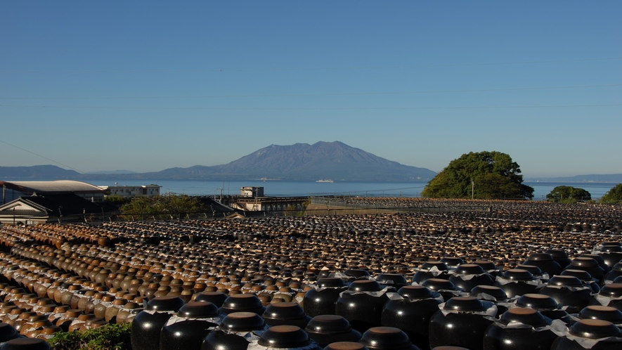 黒酢　鹿児島は黒酢付が有名で、黒酢の亀壺畑がございます。