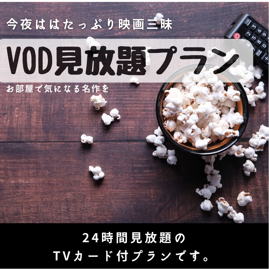 VODプラン(素泊り)　★駐車場無料★