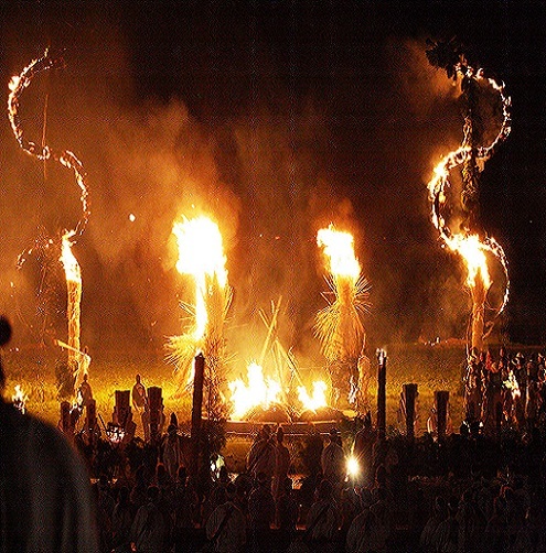 벌레와 불 축제