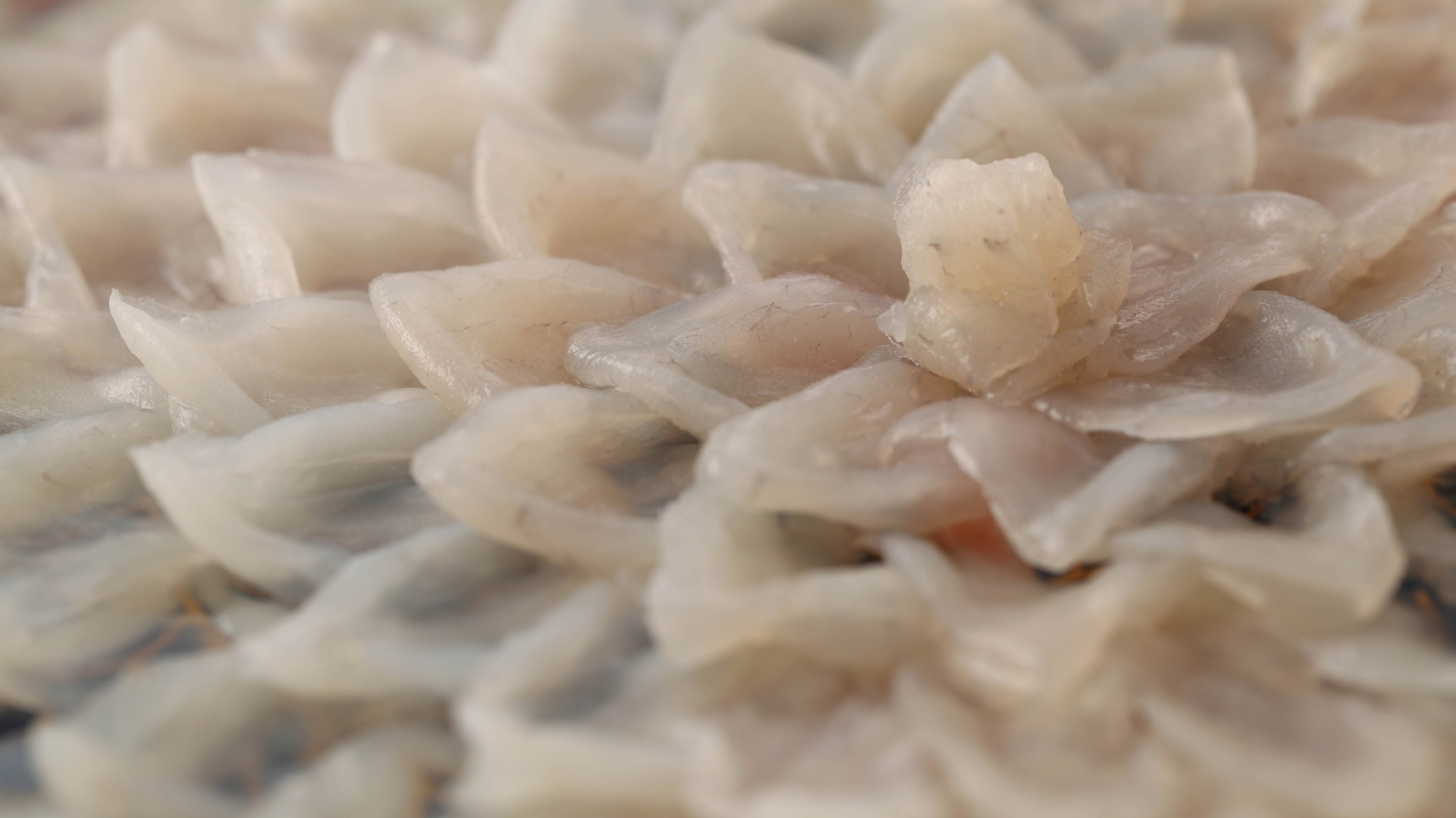 【冬季限定/ふぐ会席プラン】ご夕食は会席で旬のふぐ料理をご堪能（1泊2食付）