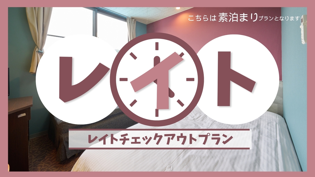 のんびり12時レイトチェックアウトプラン★素泊≪駐車場無料≫