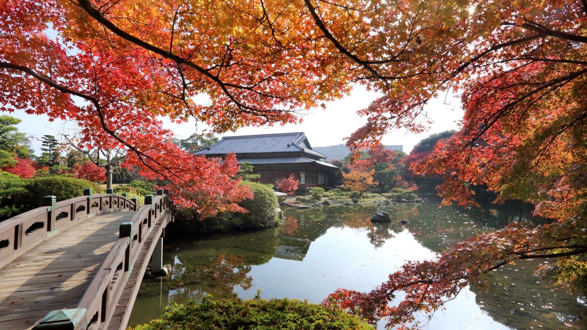 長府庭園　紅葉