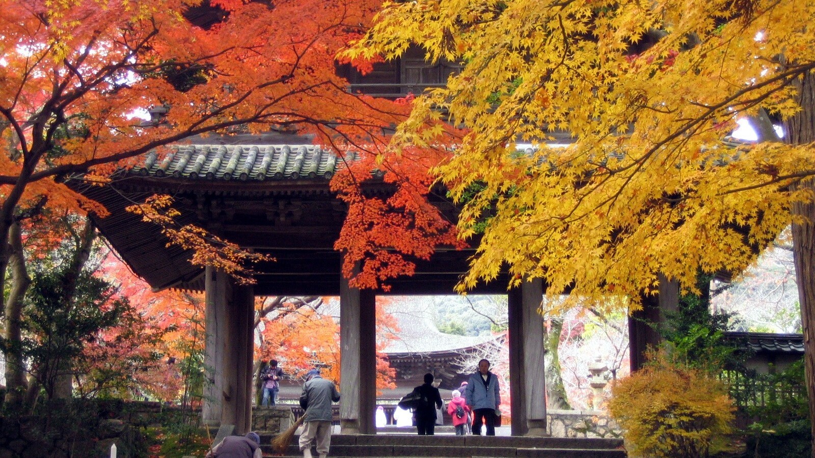 功山寺 紅葉