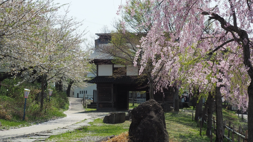 飯山城址公園