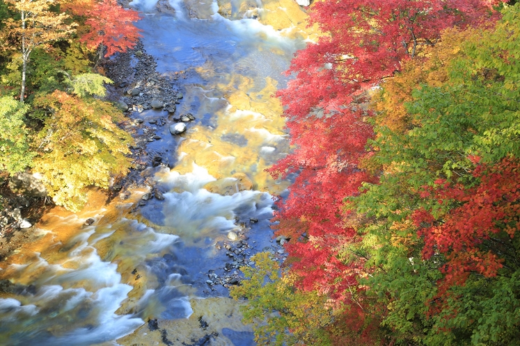 秋の奥志賀高原
