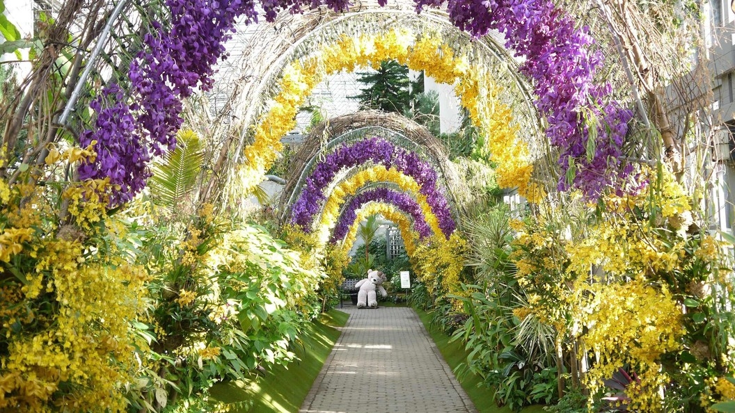 【あわじグリーン館 特別展入場券付】百花繚蘭オーキッドフェスティバルステイ(朝食ブッフェ付)