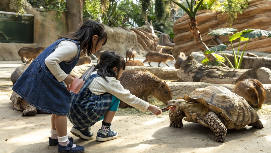【神戸どうぶつ王国】神戸ポートアイランドにある、花と動物と人とのふれあい共生パーク。