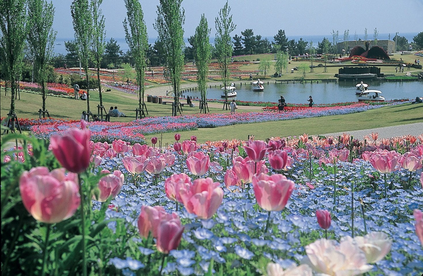 淡路島国営明石海峡公園(春)イメージ
