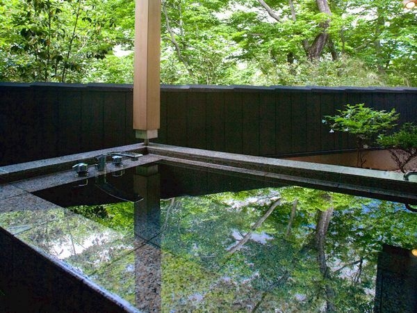 楽天トラベル 那須サファリパーク 周辺のホテル 旅館 楽天トラベル 那須サファリパーク 周辺のホテル 旅館