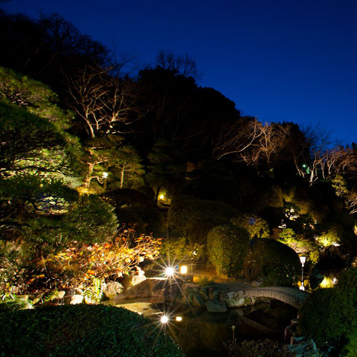 ライトアップされた夜の庭園（夜庭園P01）