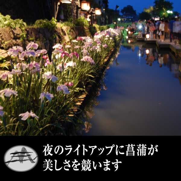  【初夏の風物詩】蛍観賞と花しょうぶライトアップを楽しむ送迎付プラン