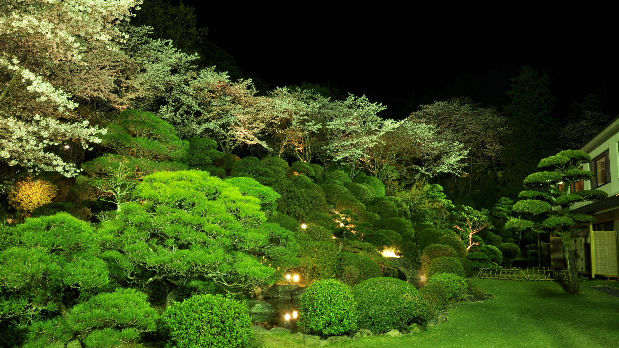 ライトアップされた夜の庭園
