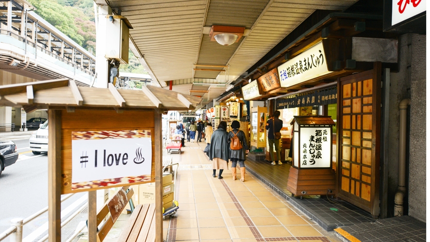 *箱根湯本駅/温泉街をお散歩して、グルメやお買い物をお楽しみ下さい♪