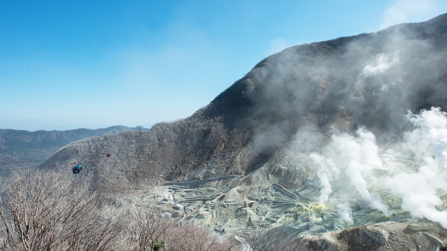 *大涌谷/標高1044m。壮大な景色をお楽しみいただけます。