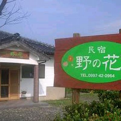 屋久島 民宿 野の花 屋久島 宿泊予約 楽天トラベル