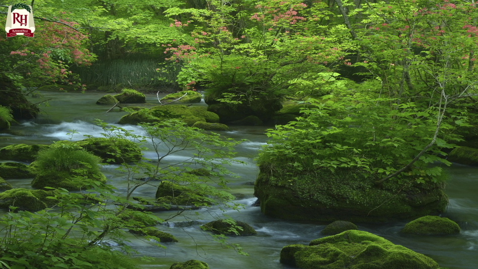 【奥入瀬渓流】　十和田