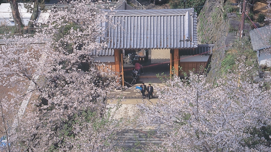 【城山大手門】城山公園へは当館より車で5分！春には桜が美しく咲き誇ります。