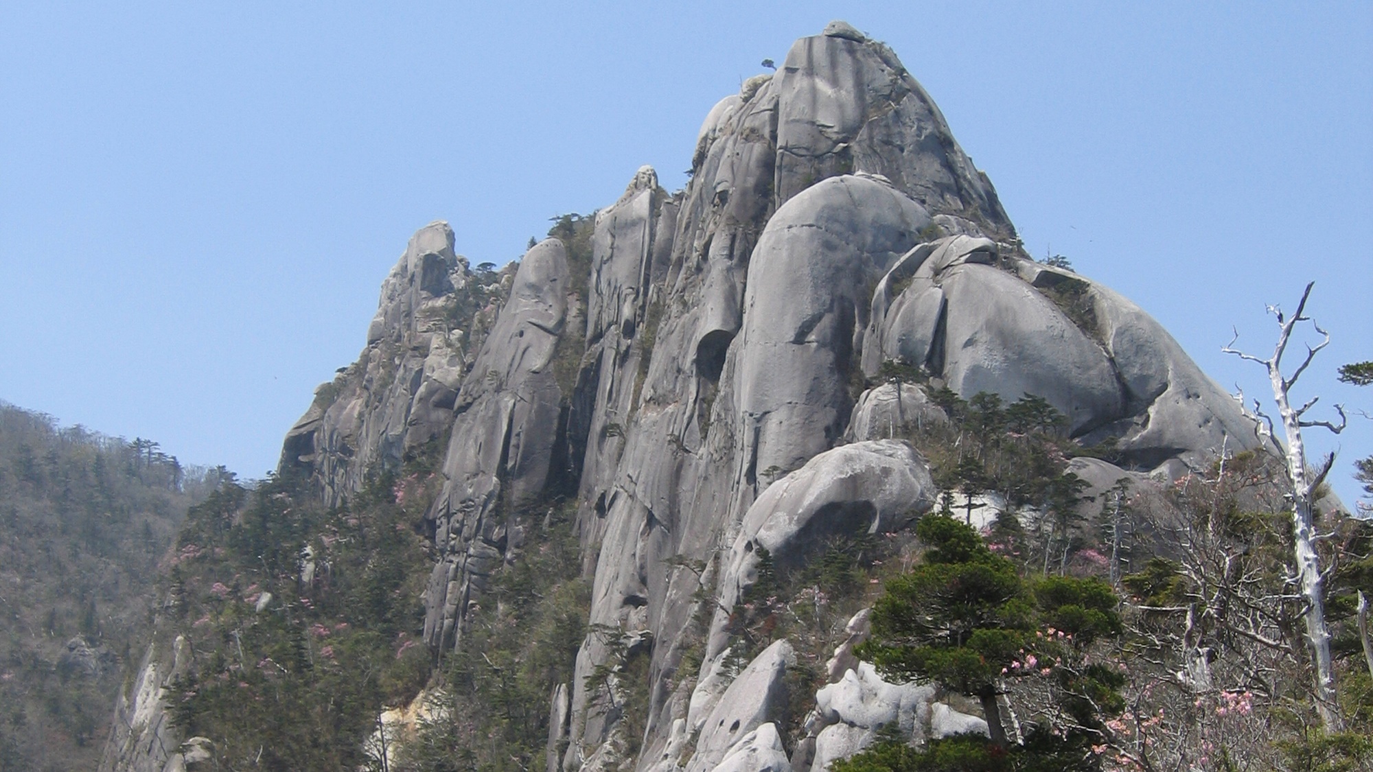 *【周辺】祖母傾国定公園の中にある大崩山(おおくえやま)