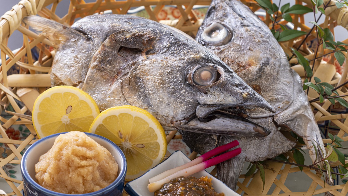 ≪戻りガツオ編≫カツオ祭りだ！ワッショイ♪土佐の恵みを一夜で食べつくす『カツオ満腹会席』