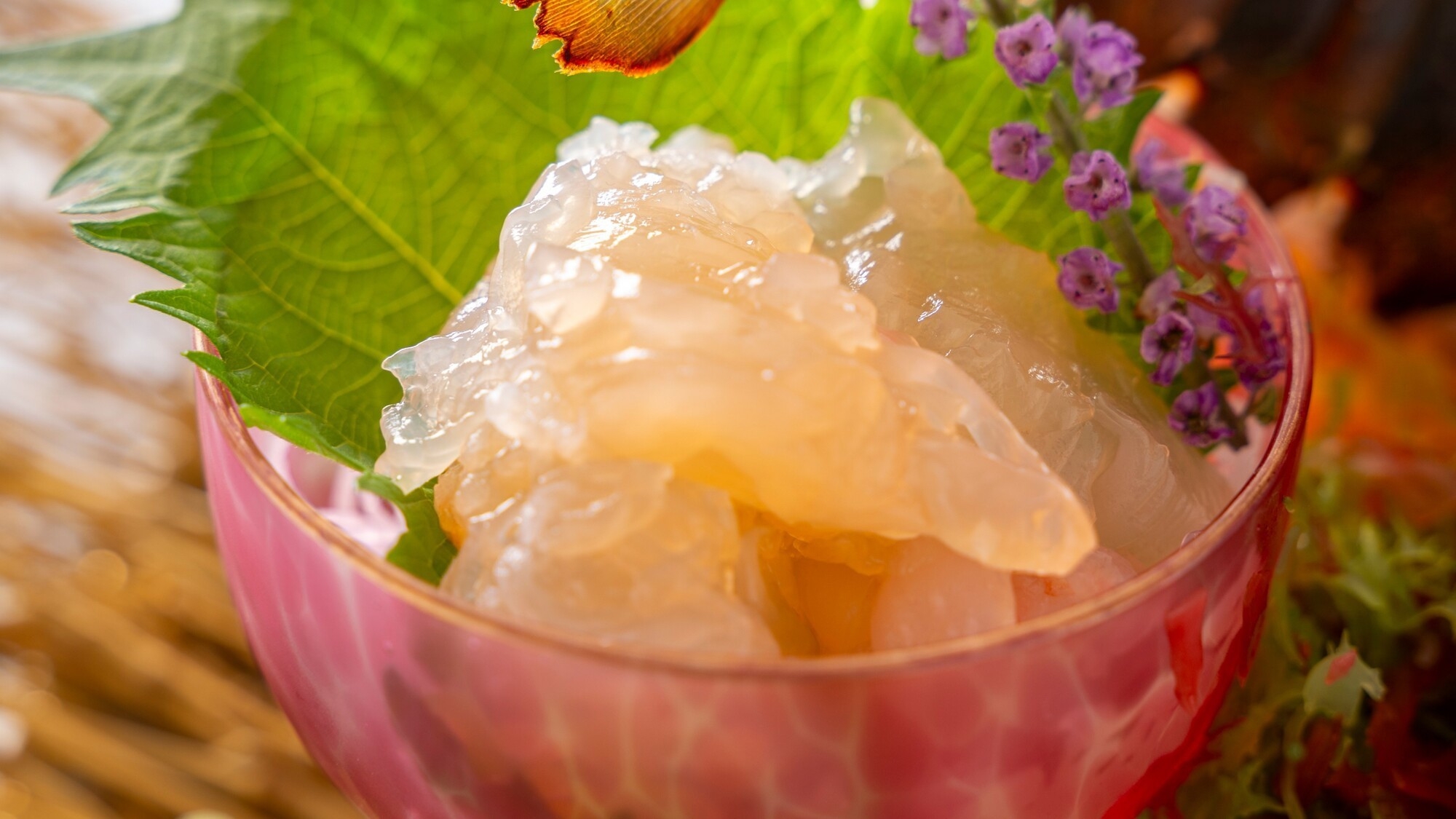 【旬彩物語／朧月コース】ぷりぷりの伊勢海老姿造りや四万十牛希少部位の食べ比べなど匠の技で綴る土佐の春