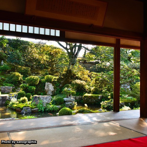 宝泉院の庭 Photo by sanographix