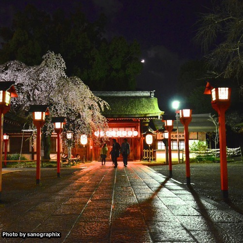 夜の平野神社 Photo by sanographix