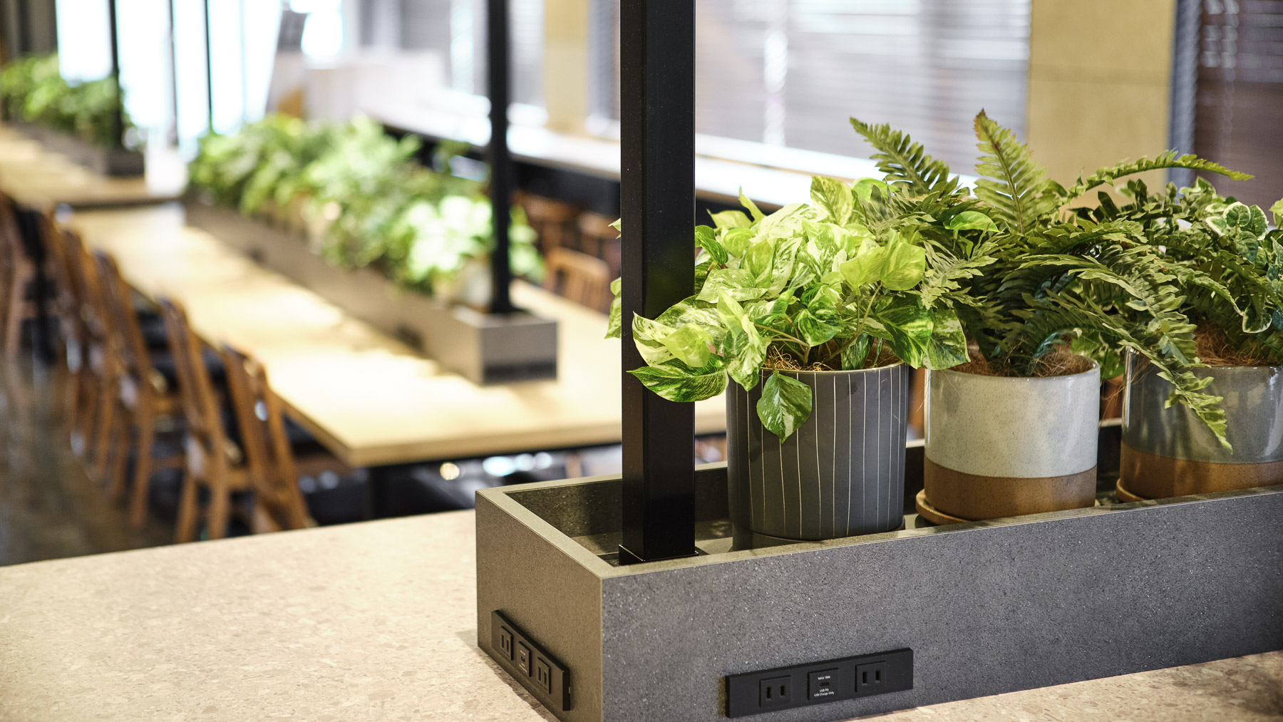 グリーンに囲まれて癒しのひとときを