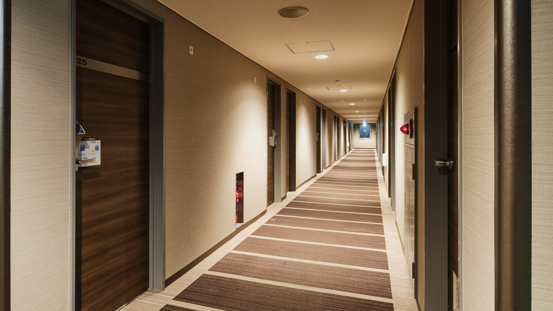 客室フロアの様子です
