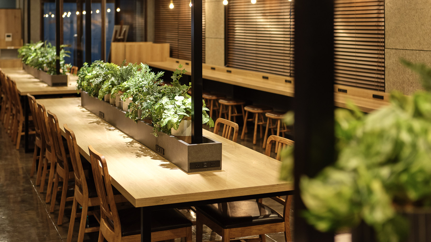 光と木のあたたかさに包まれます