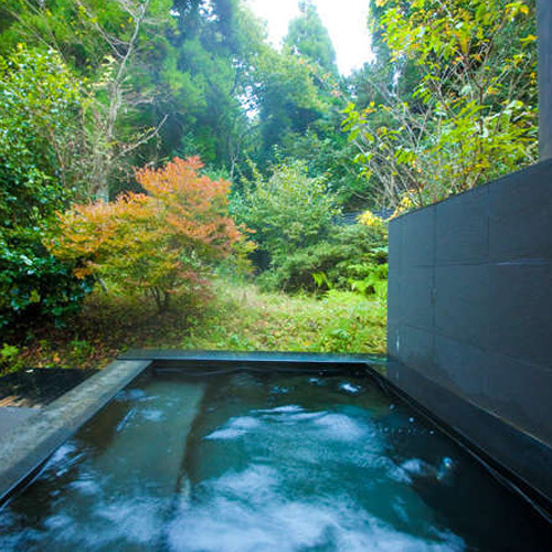 Separate Western-style room / guest room open-air bath