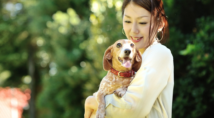 愛犬との大切な思い出