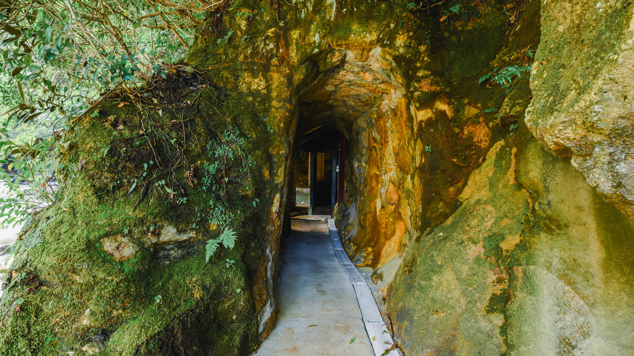 露天風呂へ向かう途中に現れる、苔むした岩肌