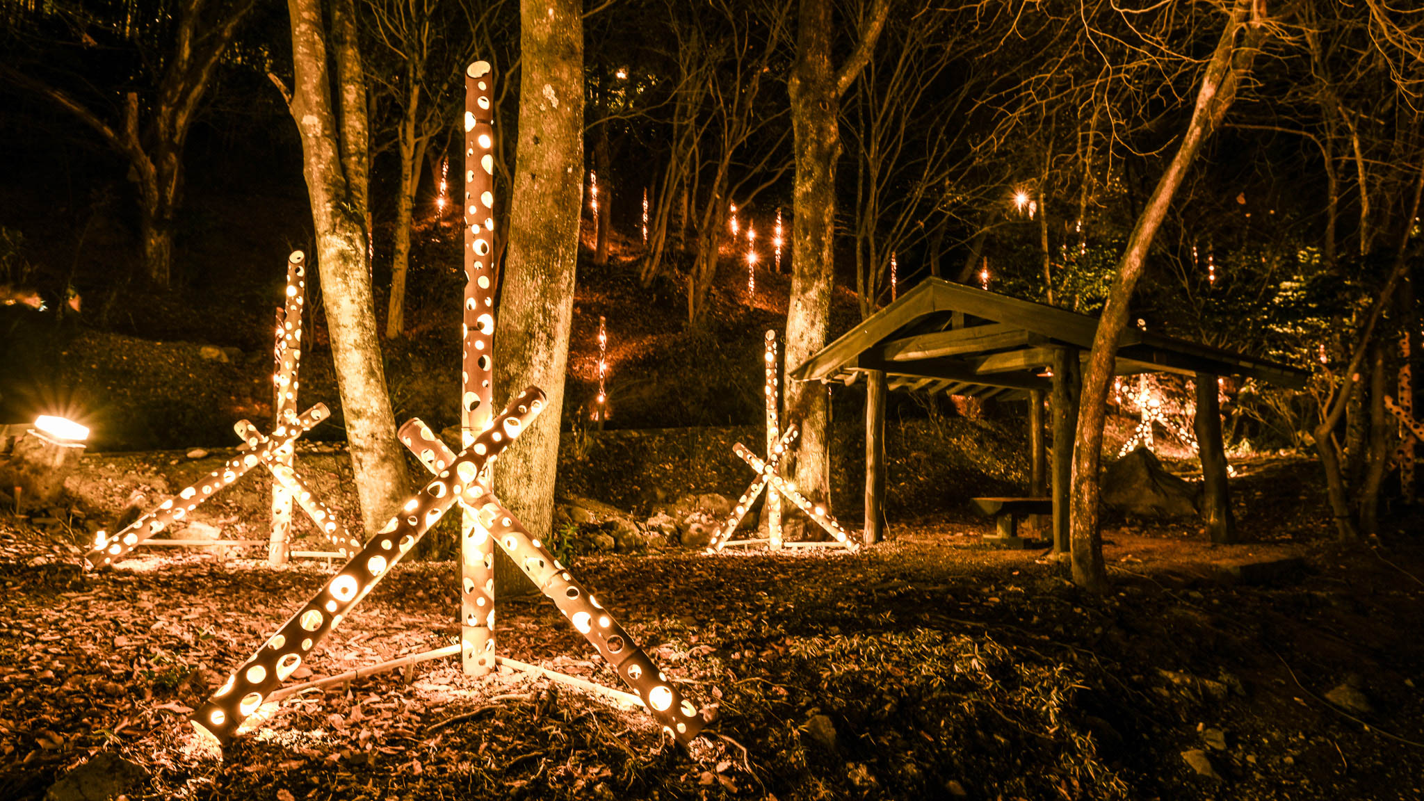 放置竹林の竹を活用した、環境にやさしい灯り