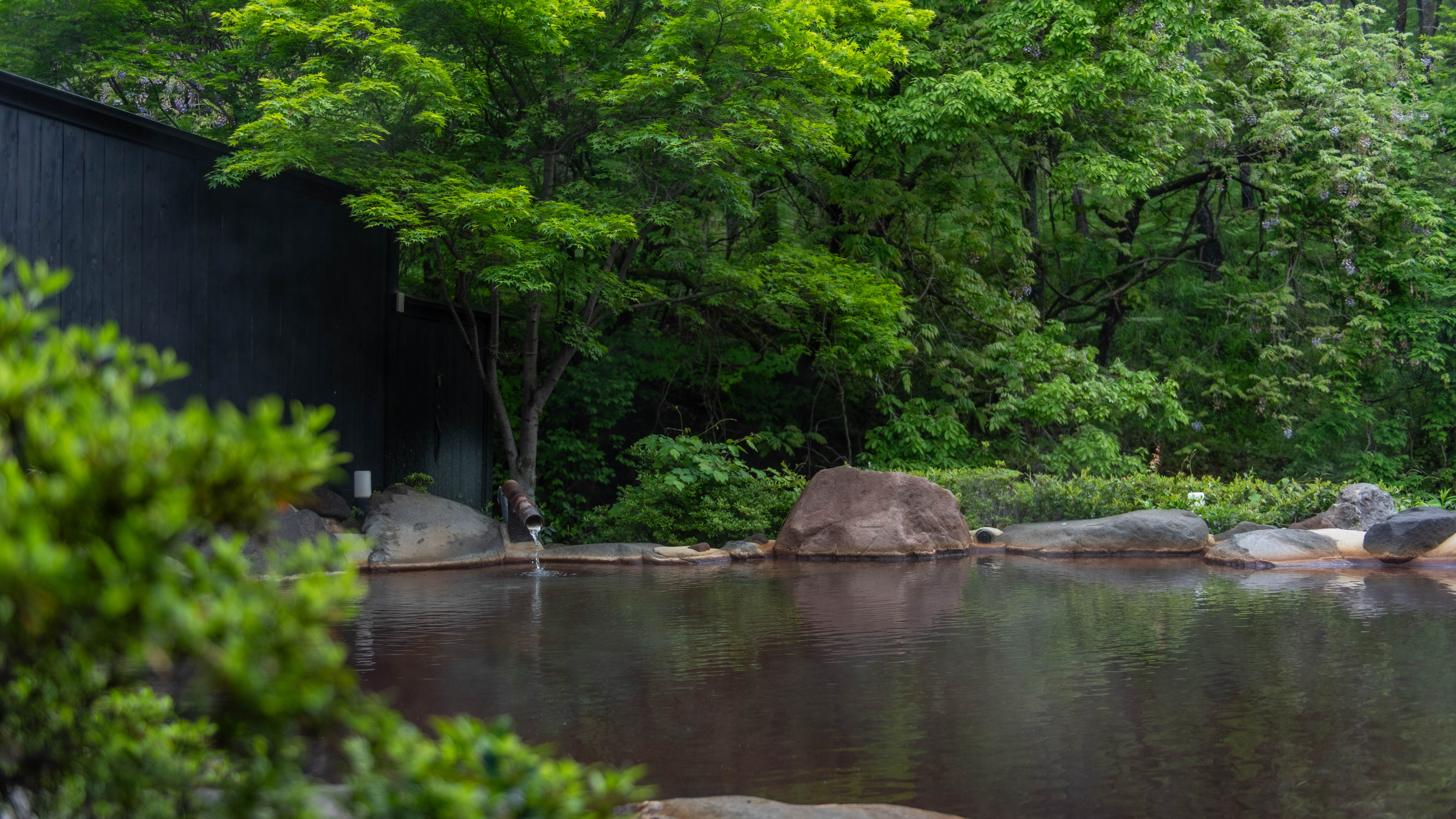 源泉かけ流しの湯に身をゆだね、心ゆくまで温泉の恵みをご堪能ください。