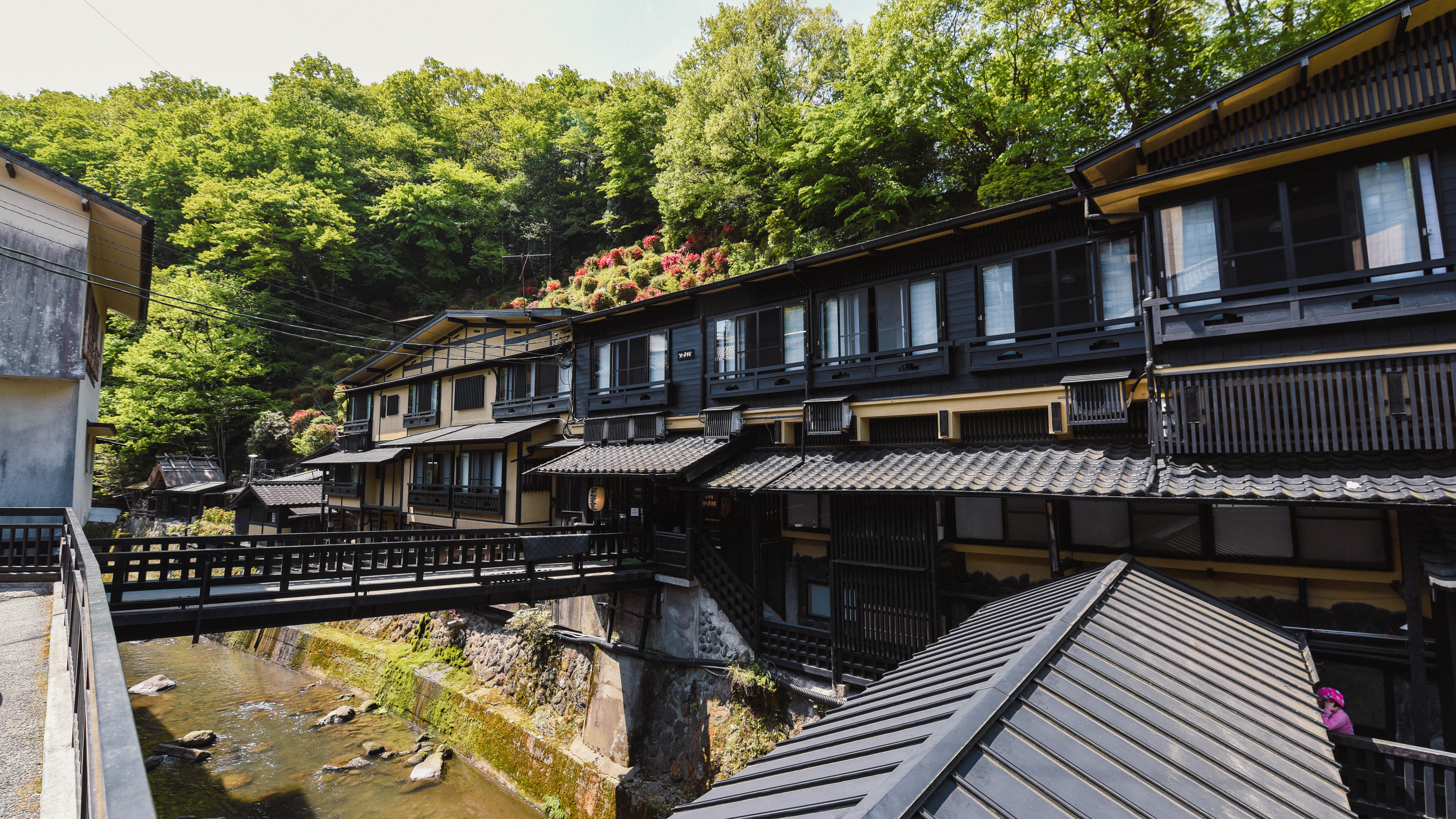 山肌にツツジが咲き誇る、春の佇まい