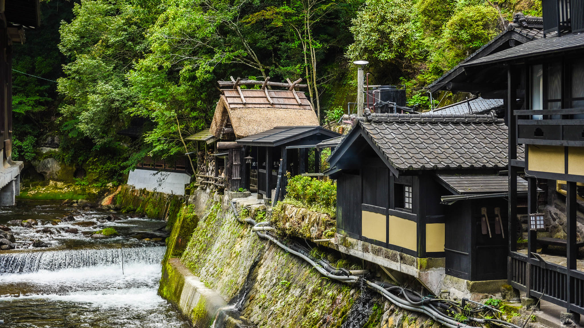 瑞々しい緑に囲まれた、夏の新明館