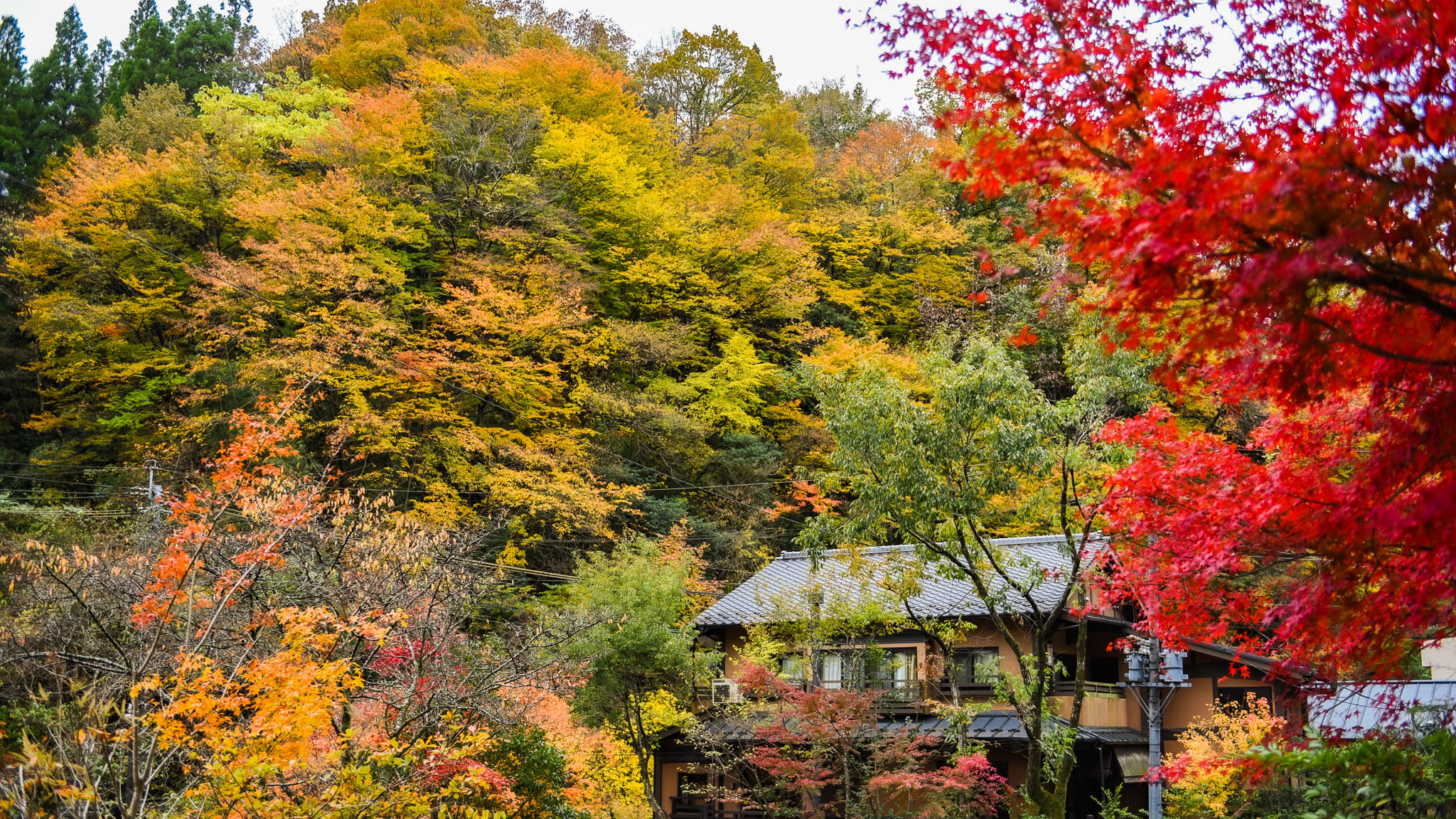 自然との調和を大切にした、黒川温泉の温泉街