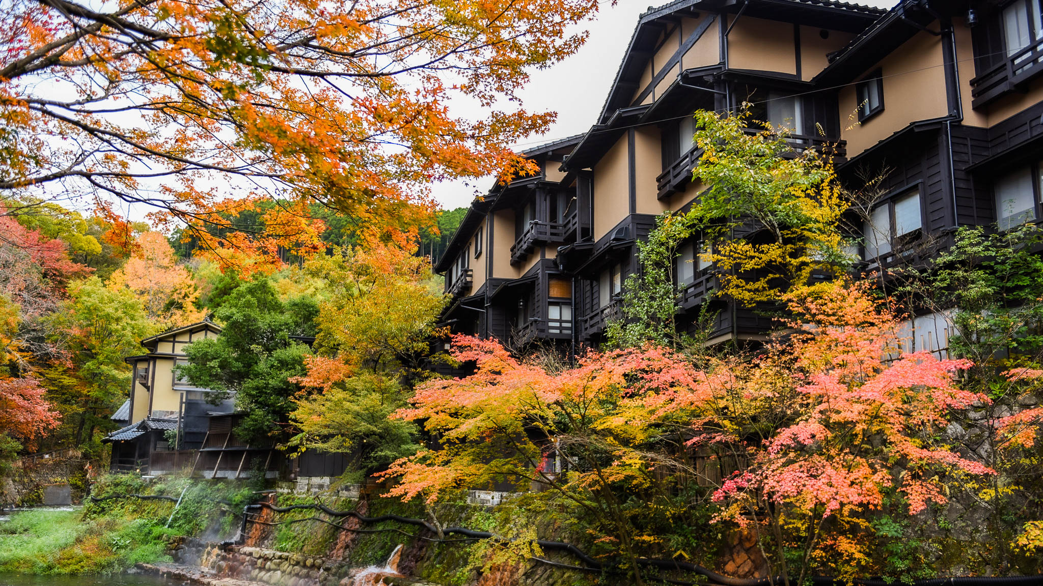 歩くだけで、四季折々の自然を感じられる温泉街の散策路